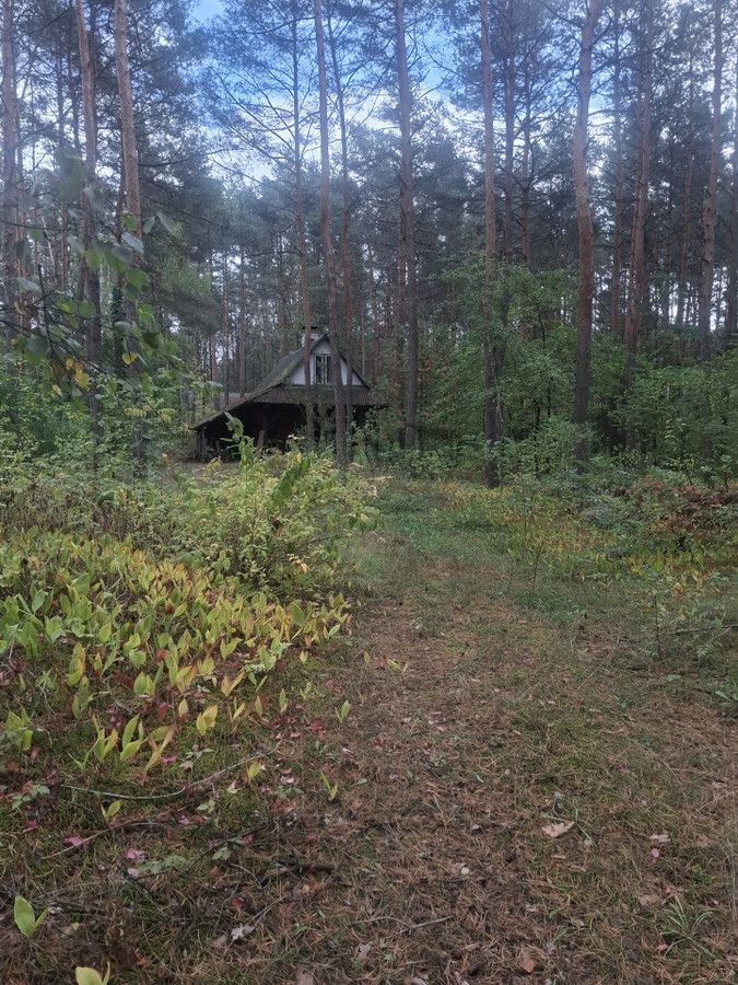 Działka budowlana Łosie, ul. Pliszki. Zdjęcie 3