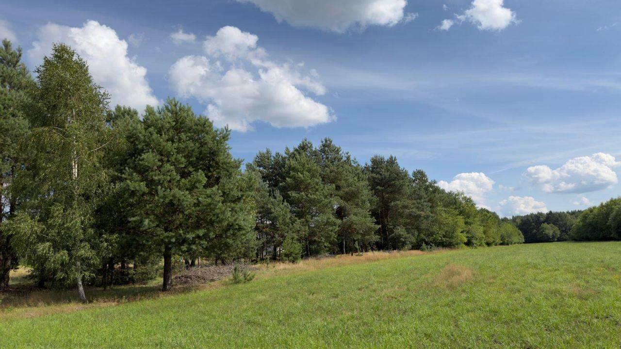 Działka rolno-budowlana Ostrów Mazowiecka, ul. Wiśniowa. Zdjęcie 8