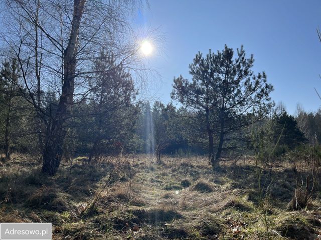 Działka rolno-budowlana Bukowa. Zdjęcie 1