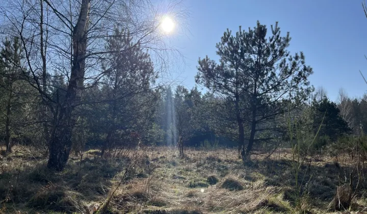 Działka rolno-budowlana Bukowa