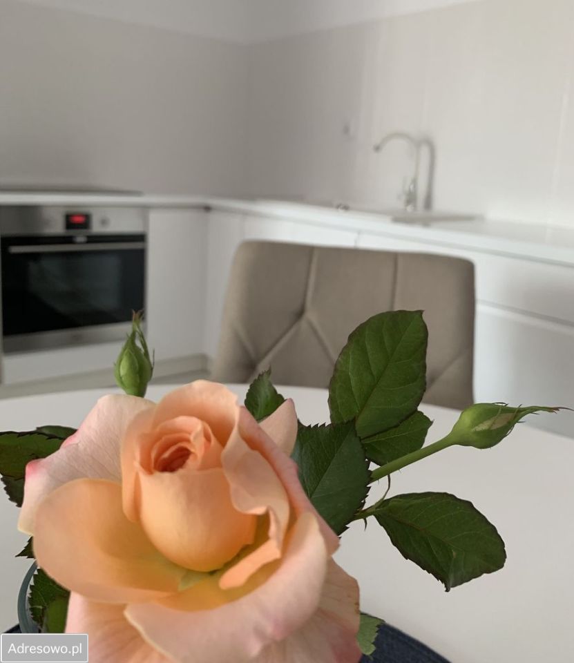 Mieszkanie 2-pokojowe Gołdap, ul. Podgórna. Zdjęcie 8