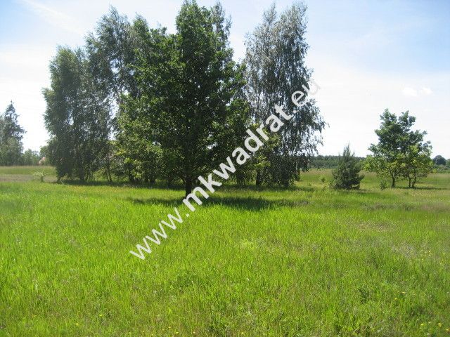 Działka rolna Grzegorzewice. Zdjęcie 2