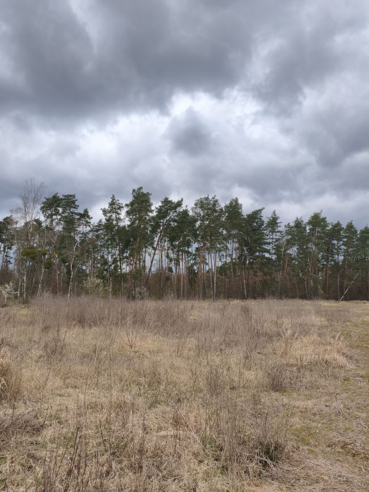 Działka rekreacyjna Bielin. Zdjęcie 2