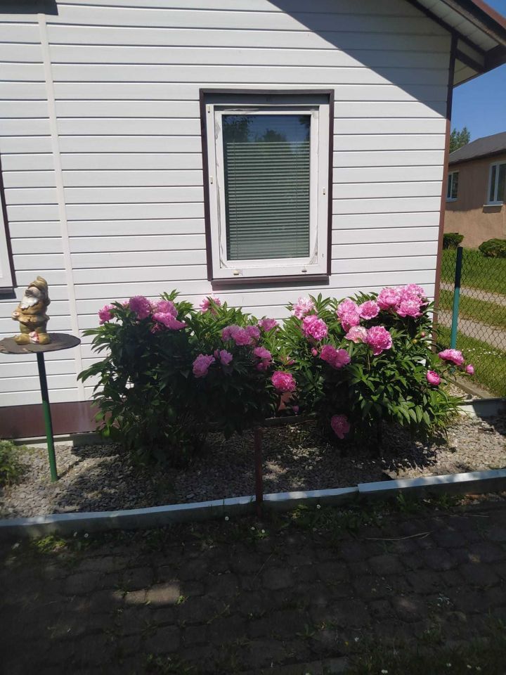 Działka rod Powązki. Zdjęcie 7