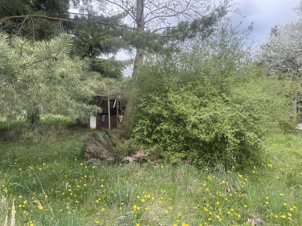 Działka rod Łódź Śródmieście. Zdjęcie 2