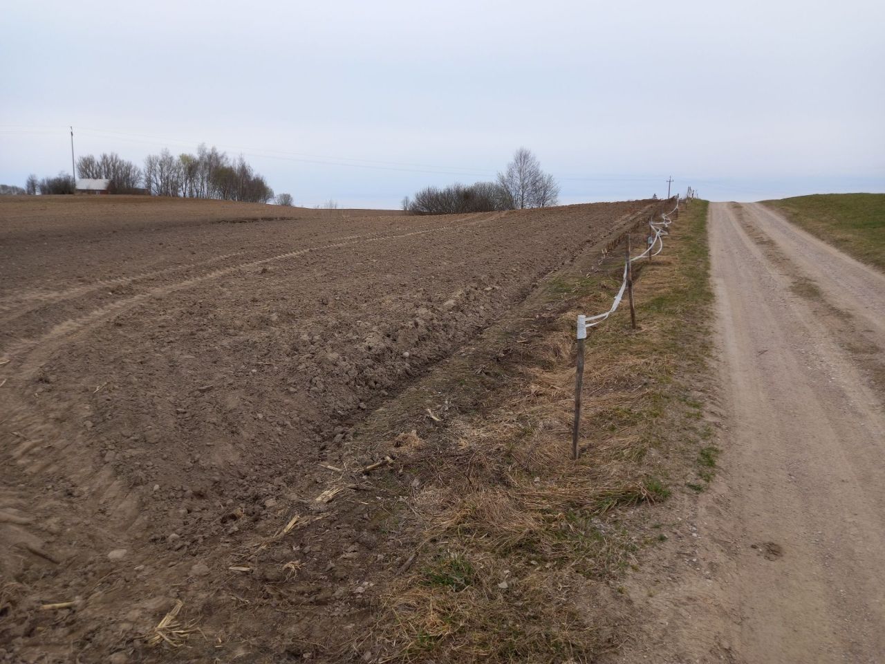Działka rolna Olszanka. Zdjęcie 7