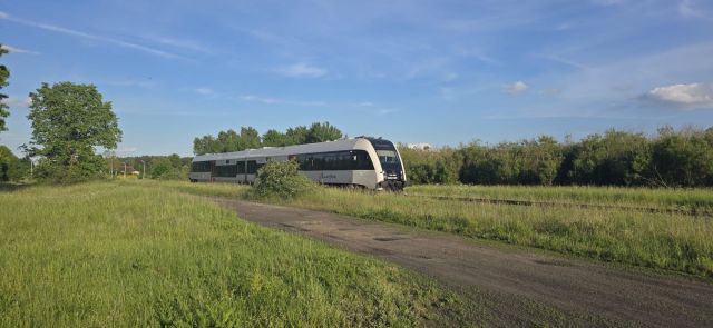 Działka inwestycyjna Biskupnica. Zdjęcie 10