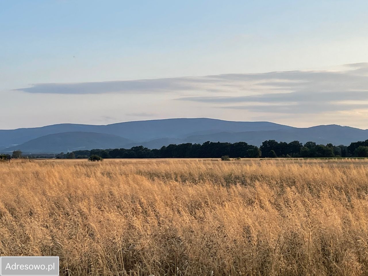 Działka rolno-budowlana Włóki. Zdjęcie 6