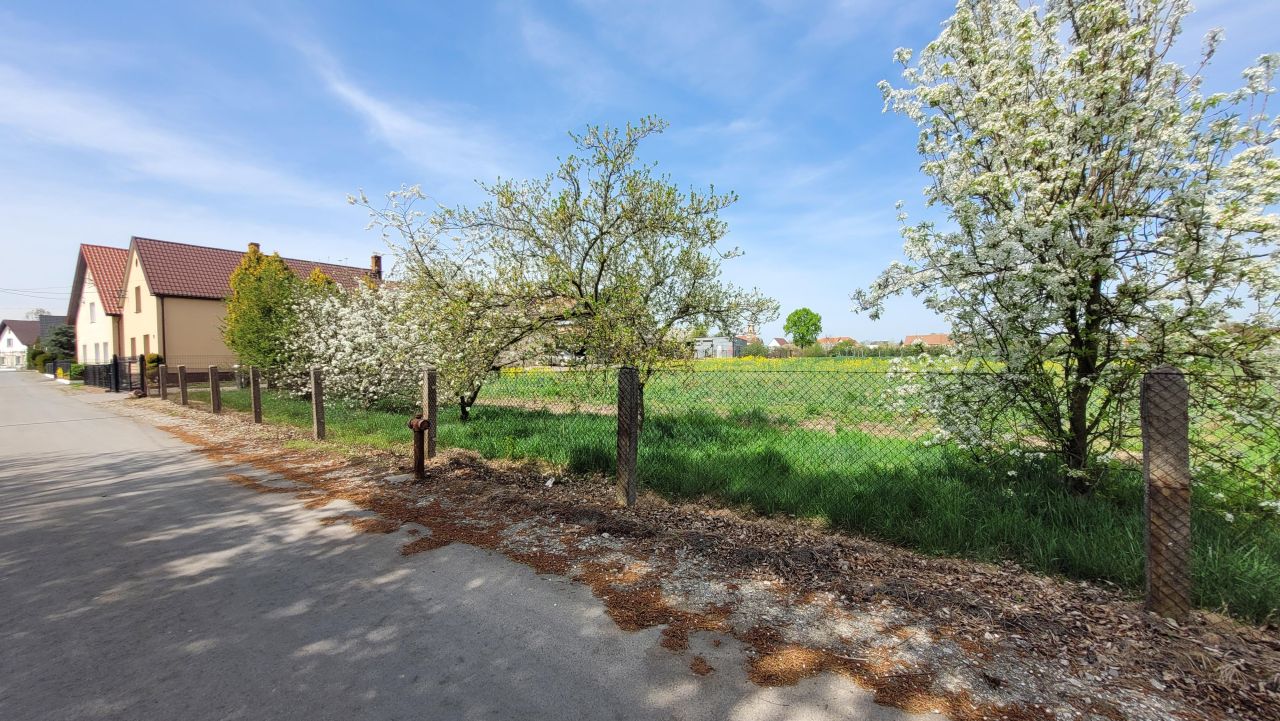 Działka rolno-budowlana Michałów. Zdjęcie 2