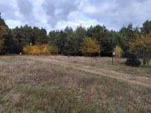 Działka rolno-budowlana Strzegowo. Zdjęcie 1