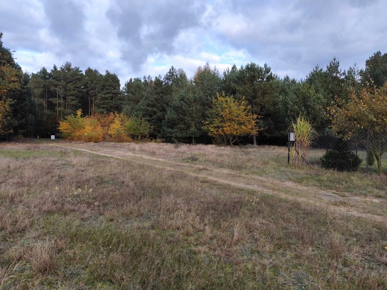 Działka rolno-budowlana Strzegowo. Zdjęcie 2