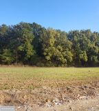 Działka siedliskowa Dębówka, ul. Podleśna. Zdjęcie 4