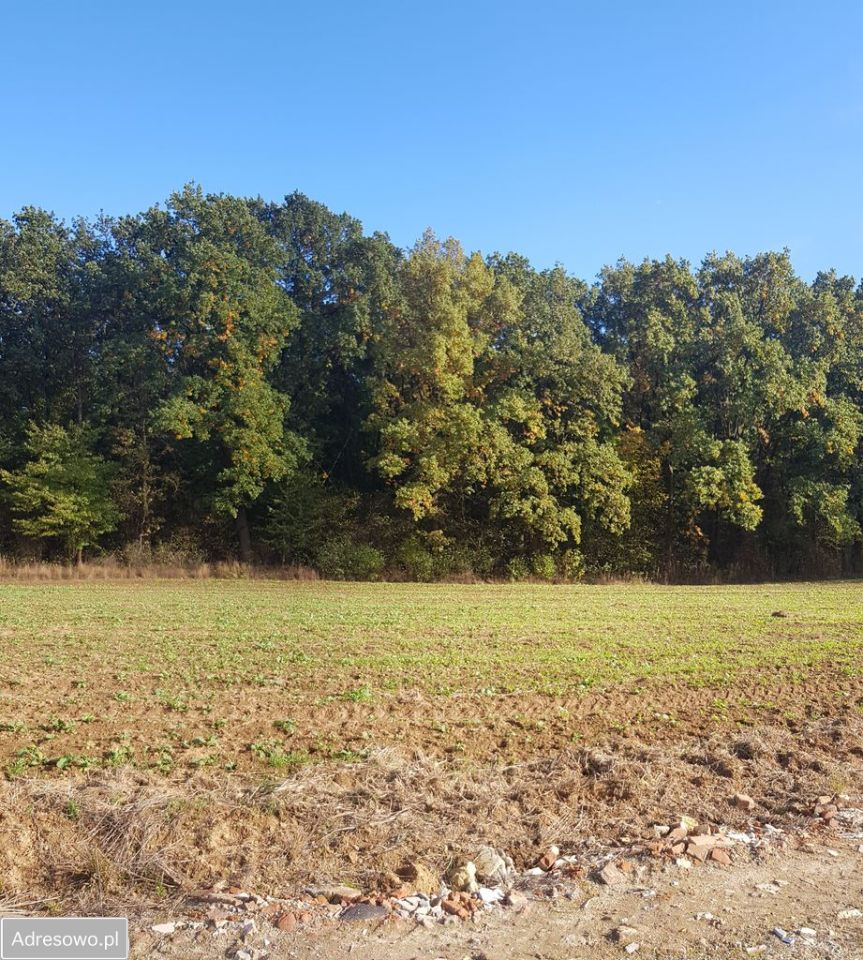Działka siedliskowa Dębówka, ul. Podleśna. Zdjęcie 5