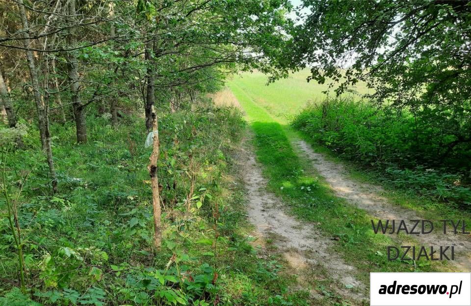 Działka rolna Krekole. Zdjęcie 7