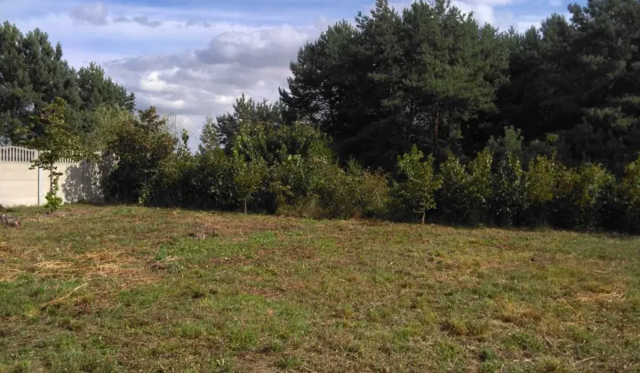 Działka rolno-budowlana Bednary