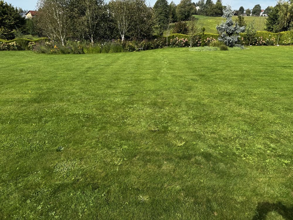 Działka budowlana Górki Wielkie, ul. Szpotawicka. Zdjęcie 7