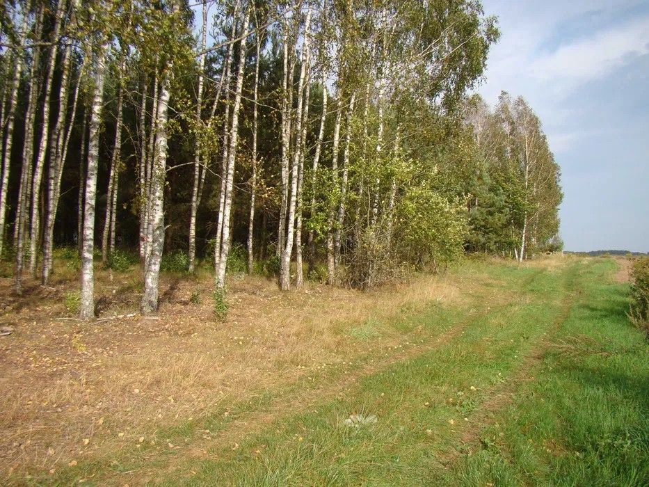 Działka rolna Wierzchlesie