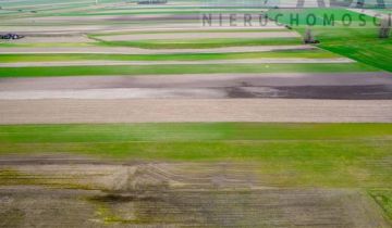 Nieruchomość komercyjna Słupca Centrum, ul. Mikołaja Kopernika