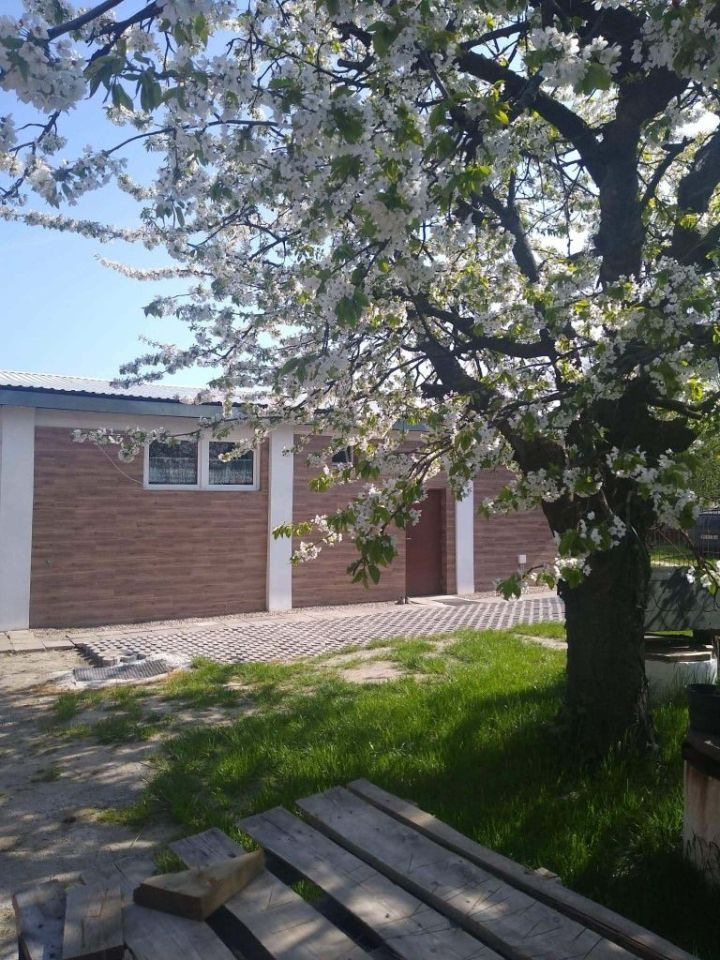 dom wolnostojący Czamanin-Kolonia. Zdjęcie 2