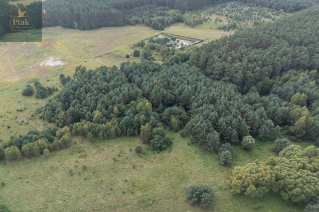 Działka rolna Obrzycko. Zdjęcie 8