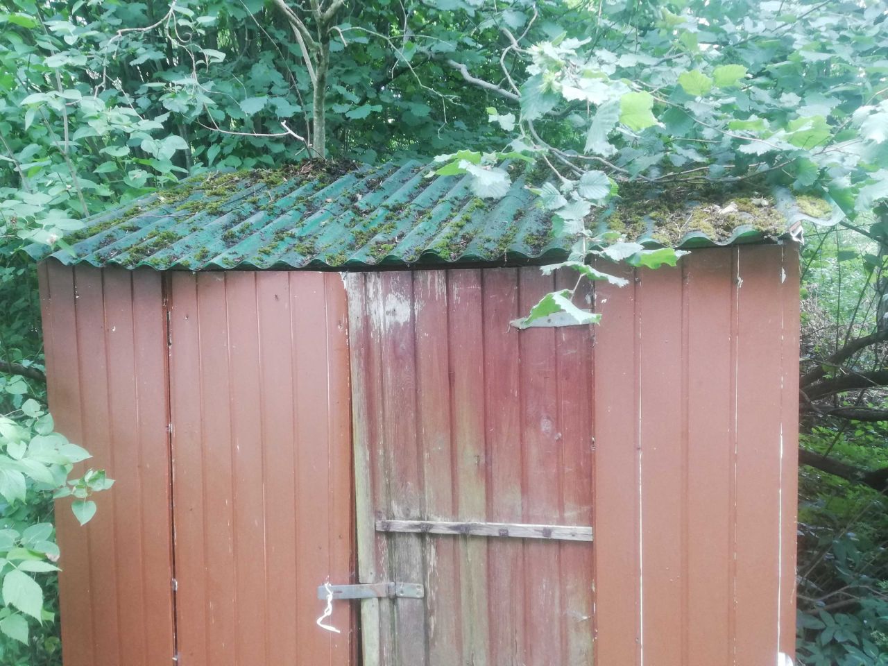 Działka rod Szczecin Warszewo, ul. Hansa Christiana Andersena. Zdjęcie 6
