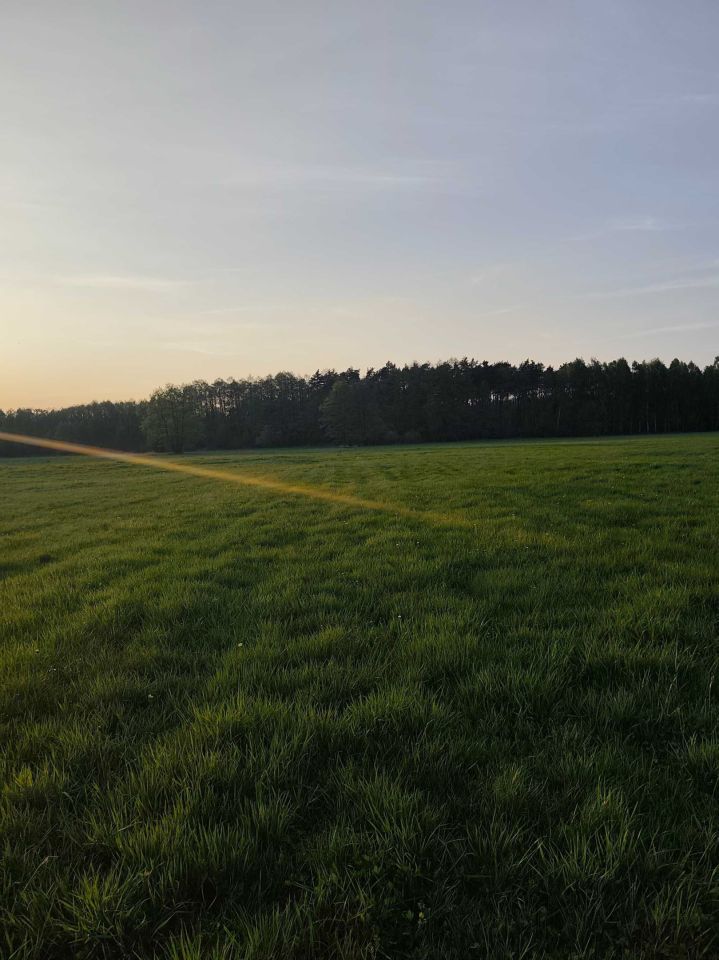 Działka budowlana Wrzeszczewice Nowe. Zdjęcie 2