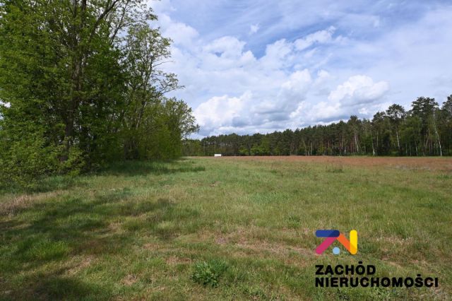 Działka budowlana Świdnica Łochowo. Zdjęcie 2