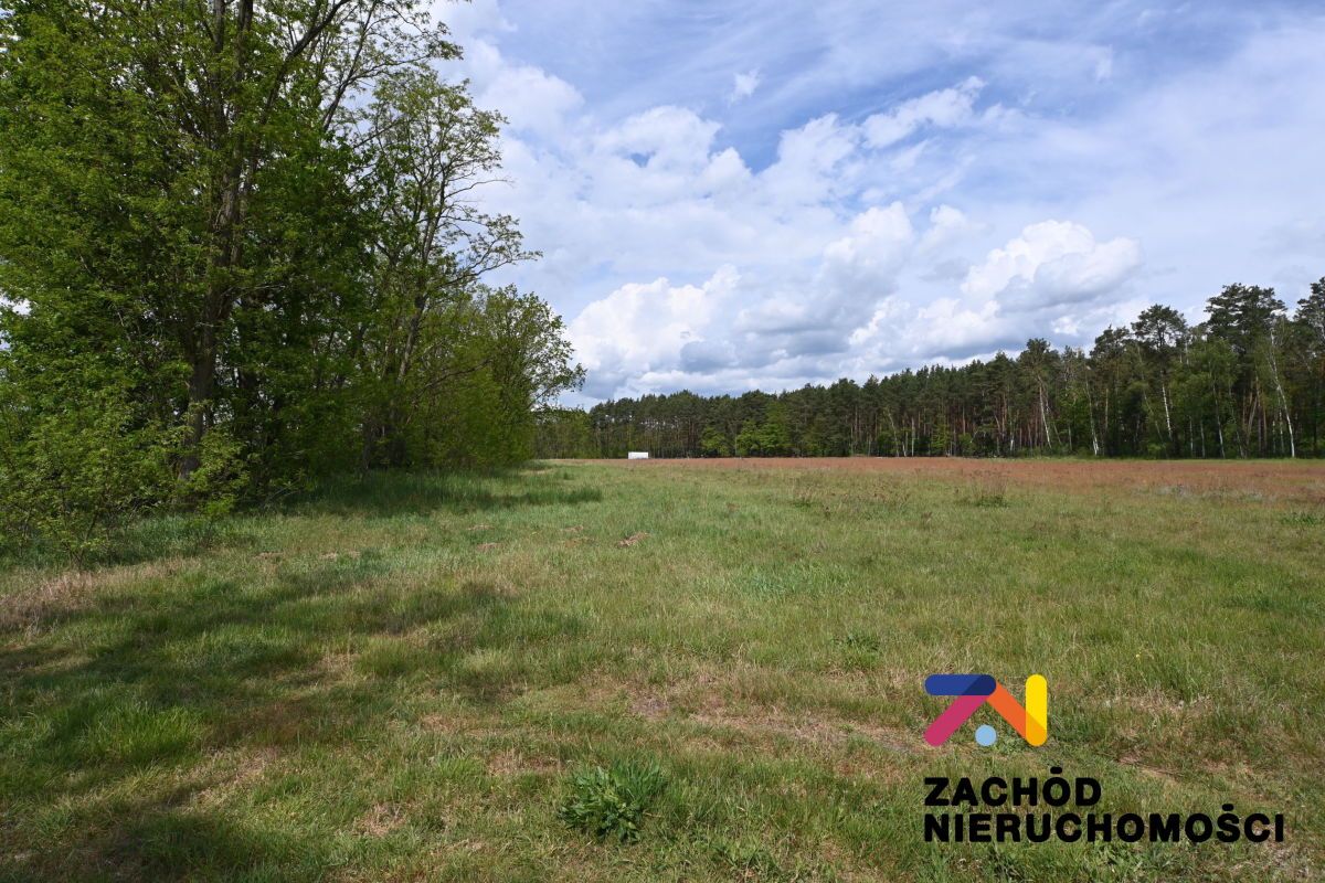 Działka budowlana Świdnica Łochowo. Zdjęcie 2