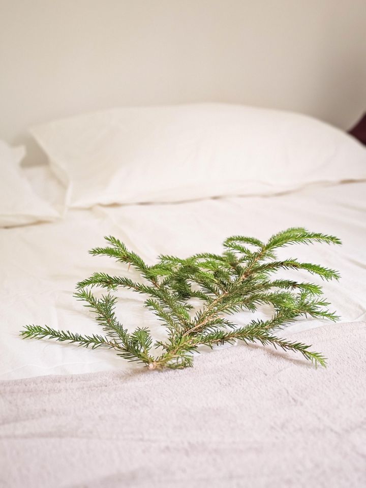 dom letniskowy, 2 pokoje Skorzewo. Zdjęcie 5