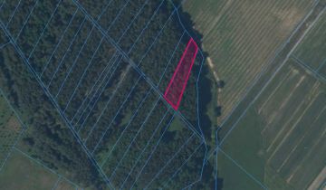 Działka leśna Strażnik