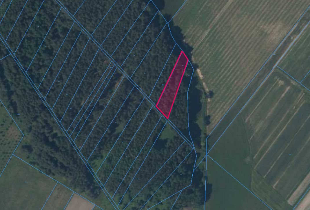 Działka leśna Strażnik. Zdjęcie 2