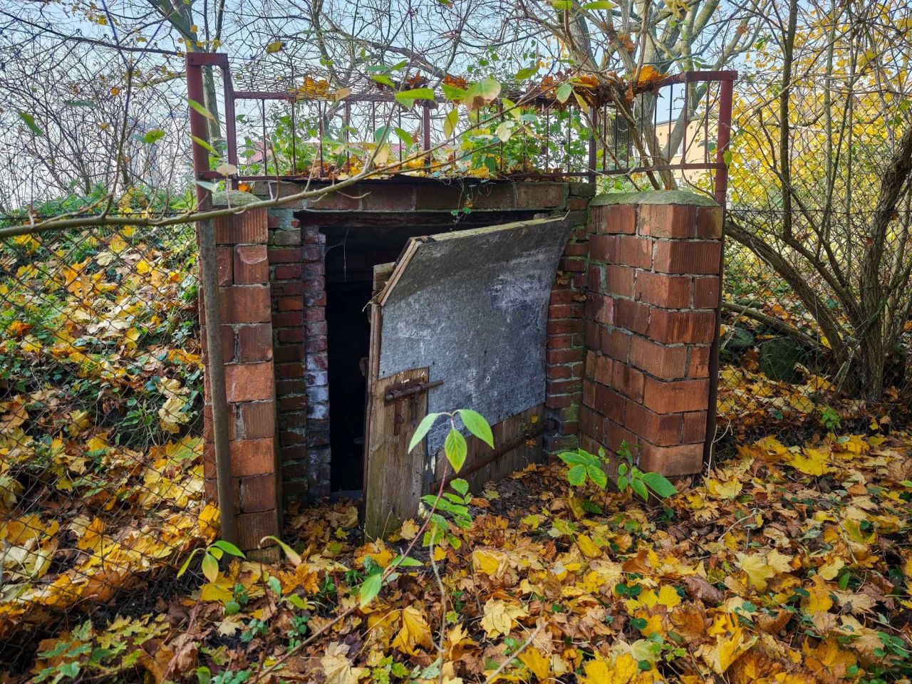 Działka siedliskowa Łęg Probostwo. Zdjęcie 4