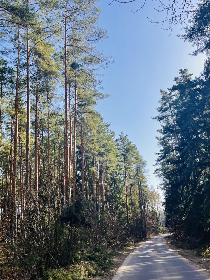 Działka budowlana Mikorzyce. Zdjęcie 3