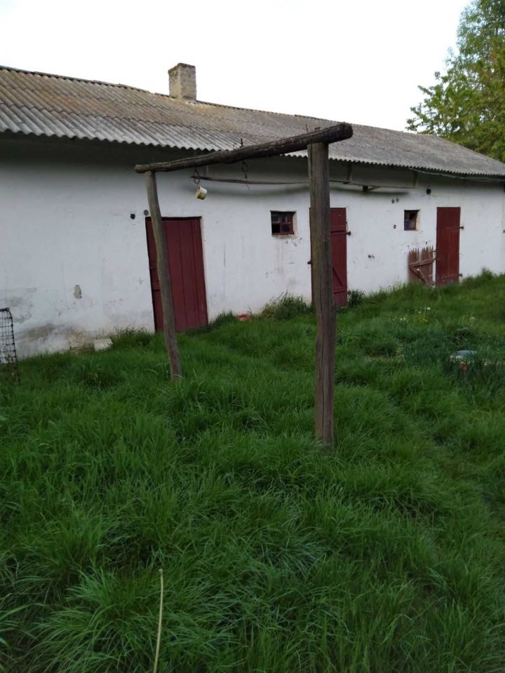 Działka siedliskowa Jawidz. Zdjęcie 3