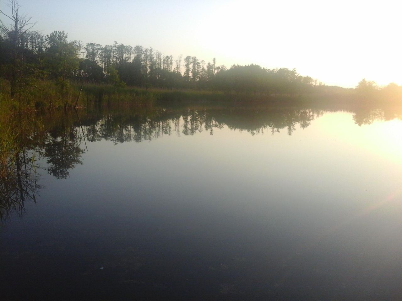 Działka rekreacyjna Strzelniki. Zdjęcie 9