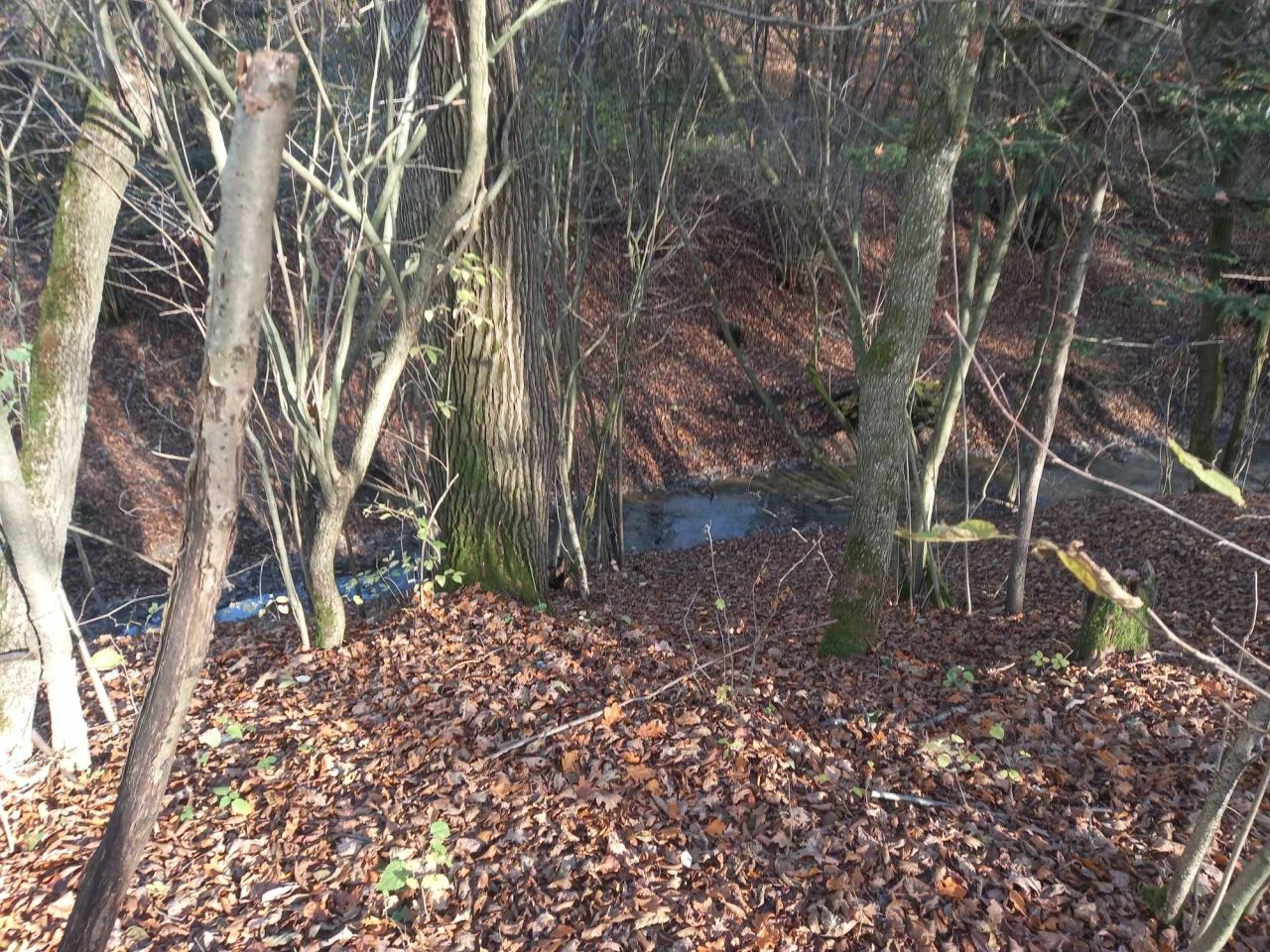 Działka Bystra. Zdjęcie 6