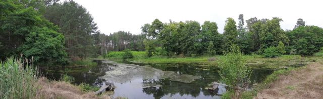 Działka rolna Lipy. Zdjęcie 1