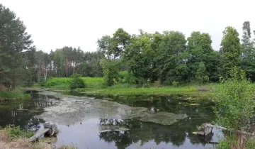 Działka na sprzedaż bez pośredników 
 
 ul. Lawendowa 
 
 Wawrów - Widok 5