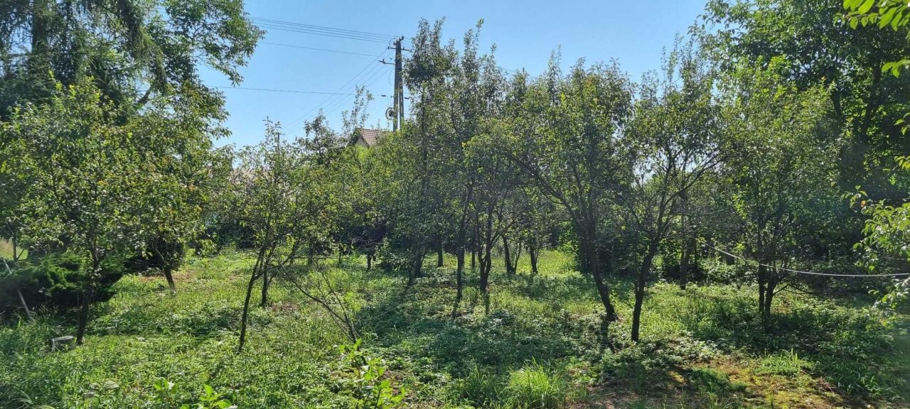 Działka siedliskowa Kaliszany-Kolonia. Zdjęcie 6