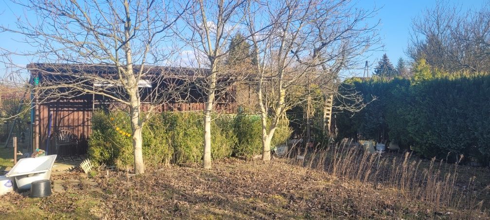 Działka rod Skierniewice. Zdjęcie 3