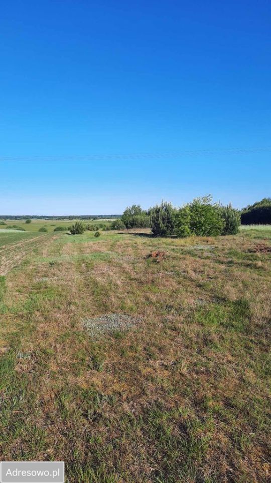 Działka rolno-budowlana Górka