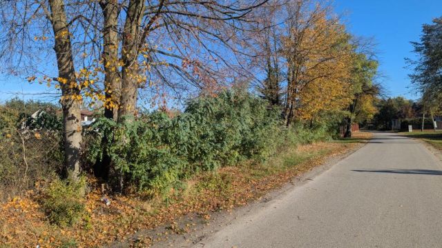 Działka budowlana Kotorydz. Zdjęcie 3