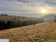 Działka budowlana Gliczarów Górny. Zdjęcie 3