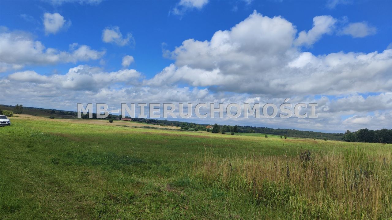 Działka rolna Żardeniki. Zdjęcie 1