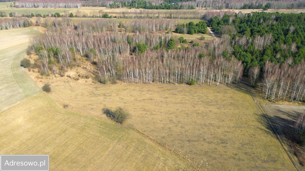 Działka rekreacyjna Ludwinów. Zdjęcie 6