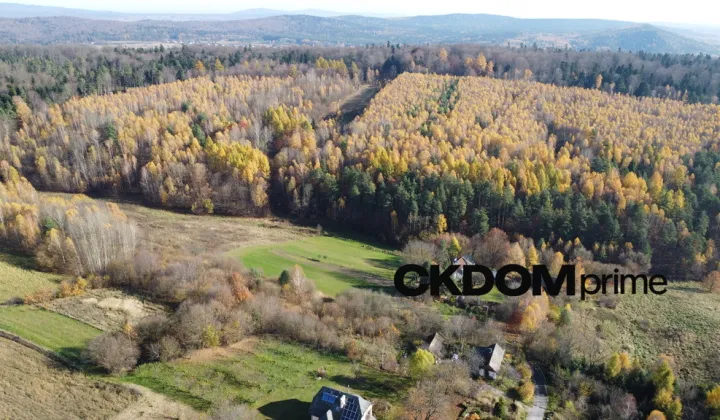 Działka rolna Cisów