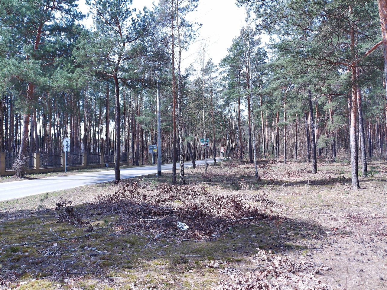 Działka budowlana Marynino, Sosnowa. Zdjęcie 39