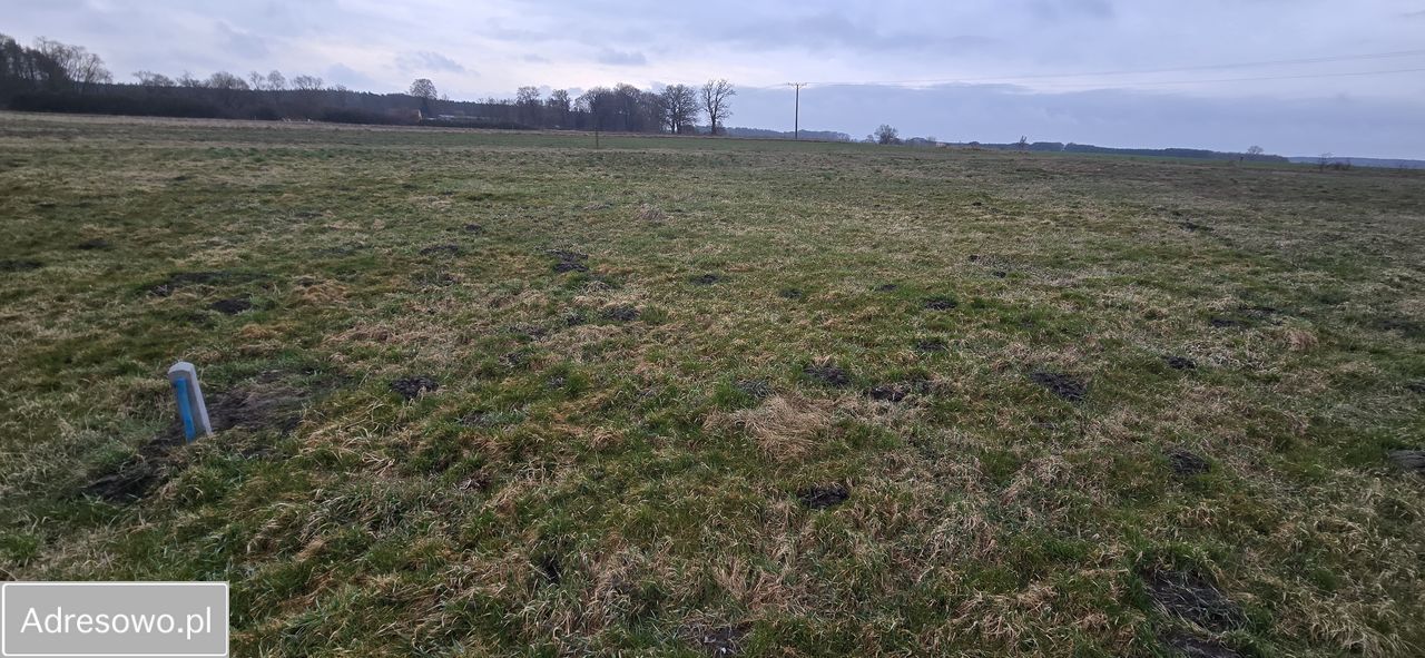 Działka budowlana Krzelów. Zdjęcie 3