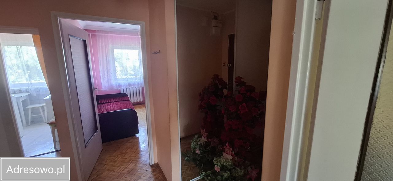 Mieszkanie 2-pokojowe Jelcz-Laskowice, ul. Ludwika Hirszfelda. Zdjęcie 8