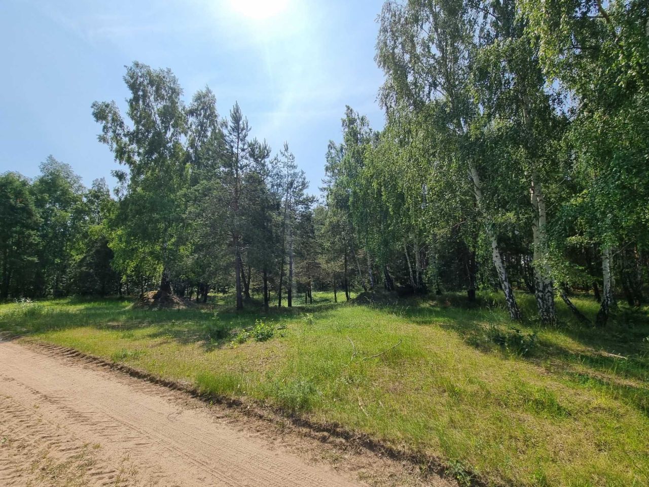 Działka rekreacyjna Łąkie. Zdjęcie 6